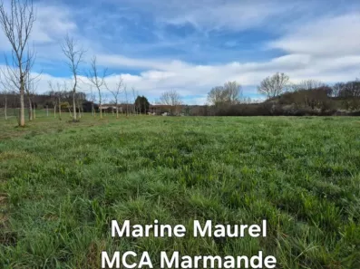 Image du modèle de maison 2183617-11161annonce220250512hF8zl.jpeg