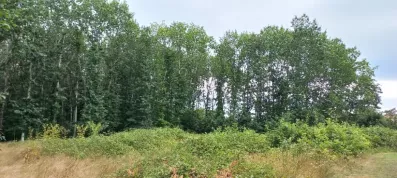 Image du modèle de maison 2183951-5020annonce120250606yt2o0.jpeg