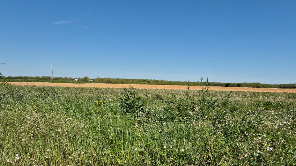 Image du modèle de maison 2184645-6087annonce120250609RoPsS.jpeg