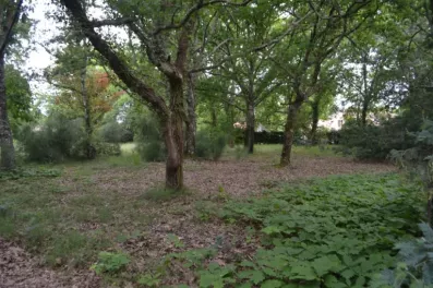 Image du modèle de maison 2188248-10890annonce120250612polDn.jpeg