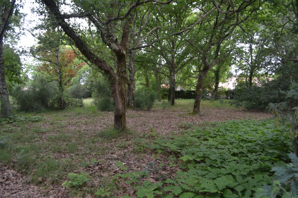 Image du modèle de maison 2188333-10890annonce120250612polDn.jpeg