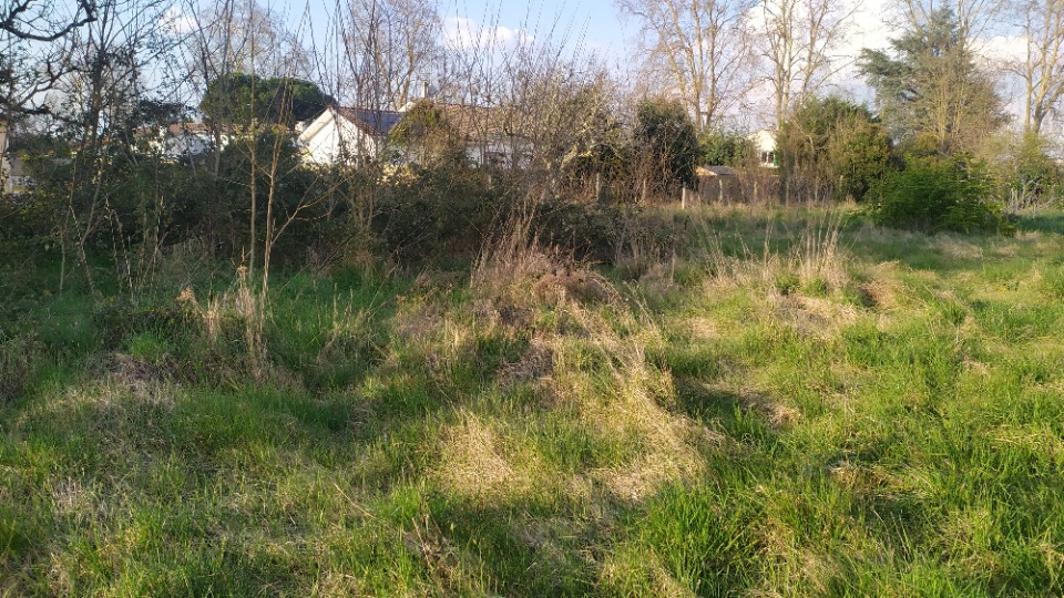Image du terrain Terrain à bâtir à Podensac (33720)