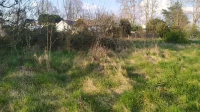 Image du modèle de maison 2189338-11141annonce120250526fPiUb.jpeg