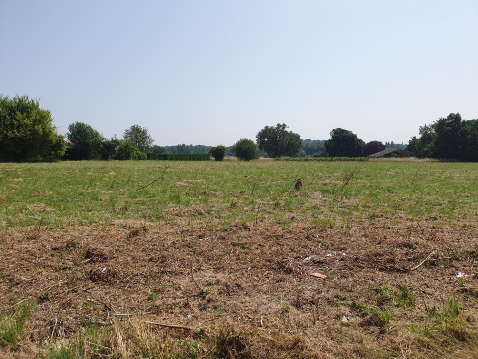 Image du terrain Terrain à bâtir à La Lande-de-Fronsac (33240)