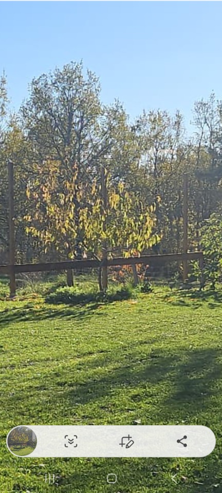 Image du modèle de maison 2190936-11151annonce120250305ISpsT.jpeg