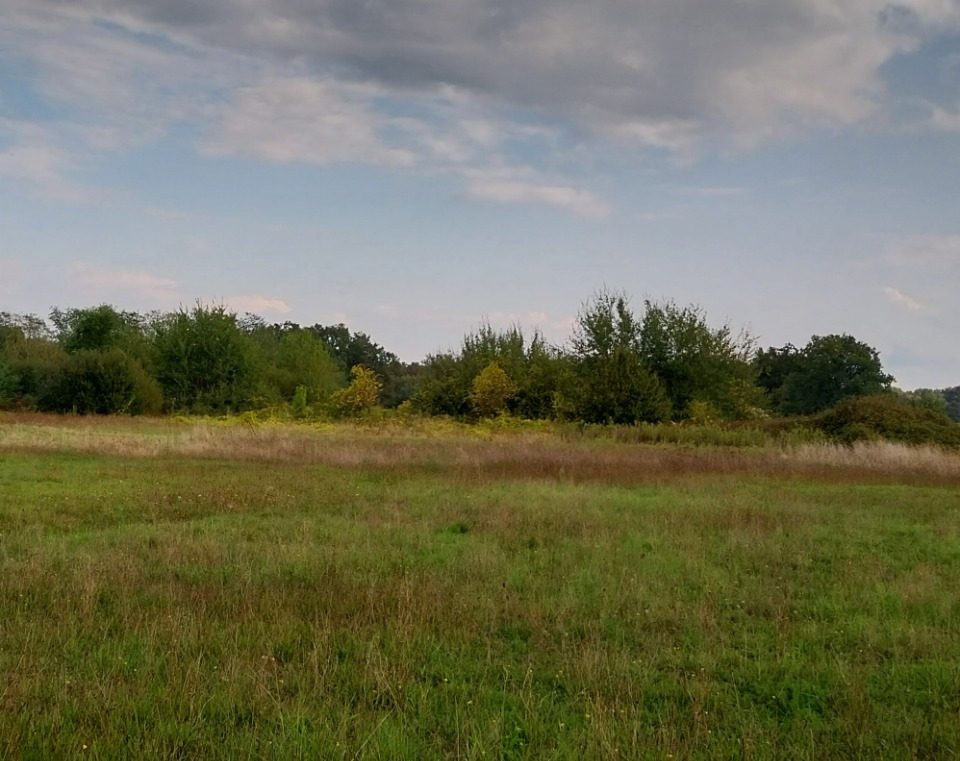 Image du terrain Terrain à bâtir à Castelnau-de-Médoc (33480)
