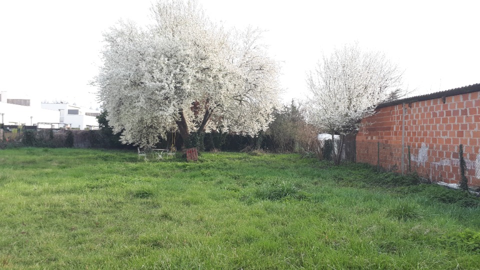 Image du modèle de maison 2192101-11151annonce120250614zMqQR.jpeg