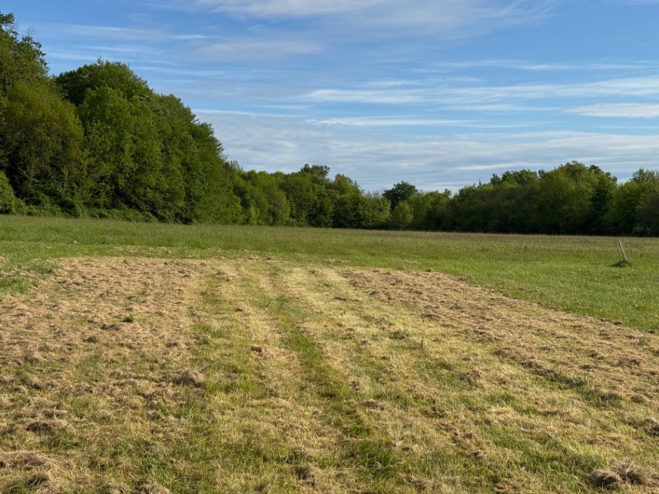 Image du terrain Terrain à bâtir à Saint-Germain-d'Esteuil (33340)