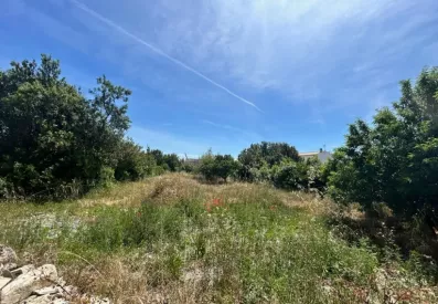 Image du modèle de maison 2193971-9644annonce1202506162EPez.jpeg