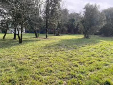 Image du modèle de maison 2194242-11194annonce120250617C6NeE.jpeg