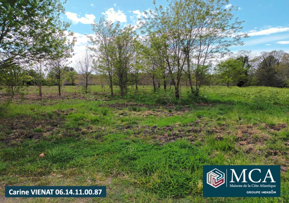 Image du modèle de maison 2194350-5828annonce120250617Q4TmM.jpeg