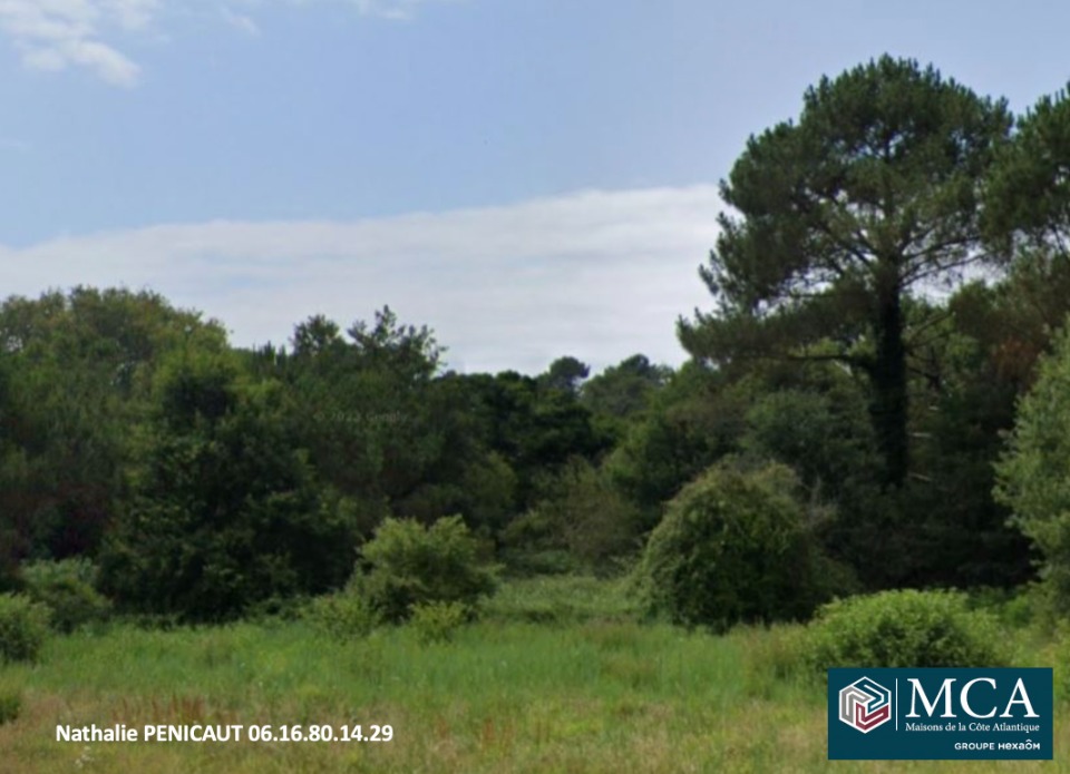 Image du terrain Terrain à bâtir à Messanges (40660)