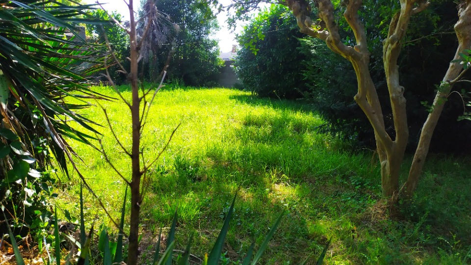 Image du terrain Terrain à bâtir à Saint-Pierre-d'Aurillac (33490)