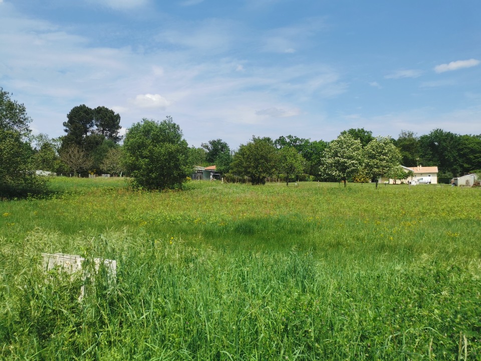 Image du terrain Terrain à bâtir à Bazas (33430)