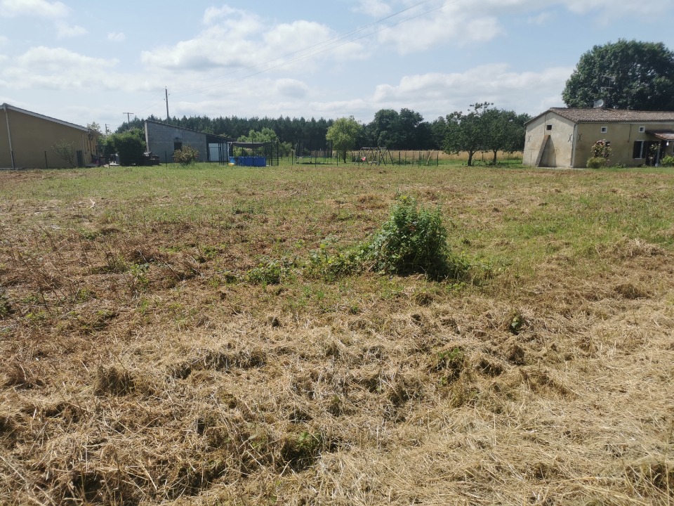 Image du terrain Terrain à bâtir à Cauvignac (33690)