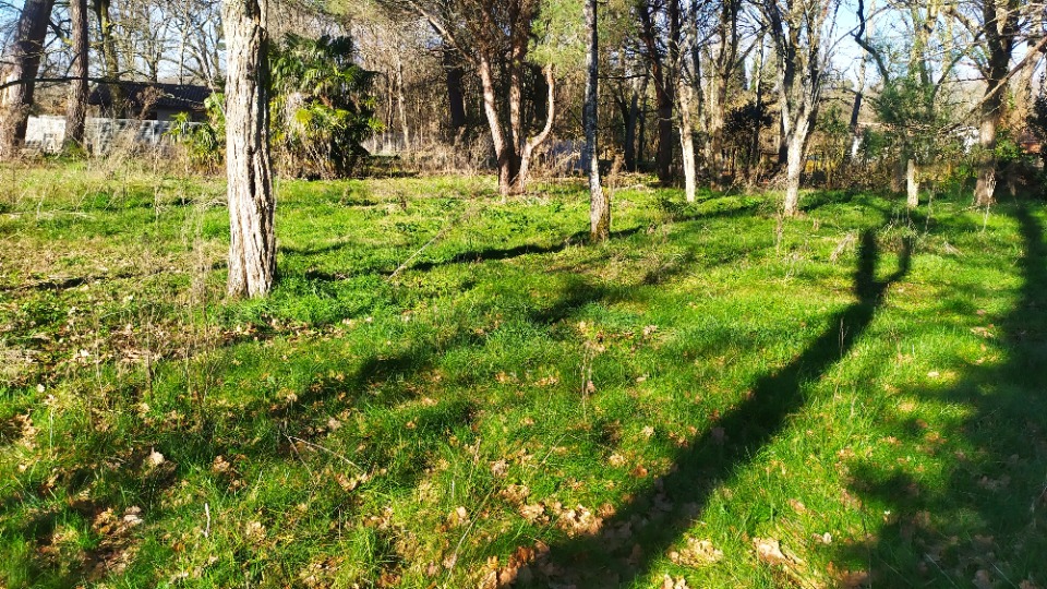 Image du terrain Terrain à bâtir à Langon (33210)