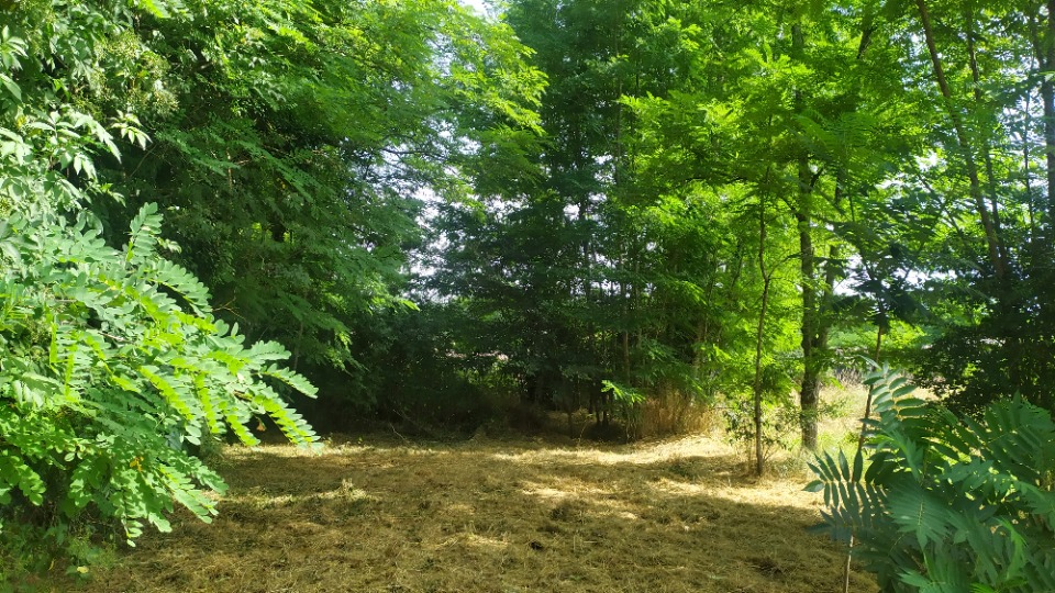 Image du terrain Terrain à bâtir à Langon (33210)