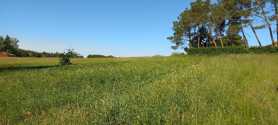 Image du terrain Terrain à bâtir à Échourgnac (24410)