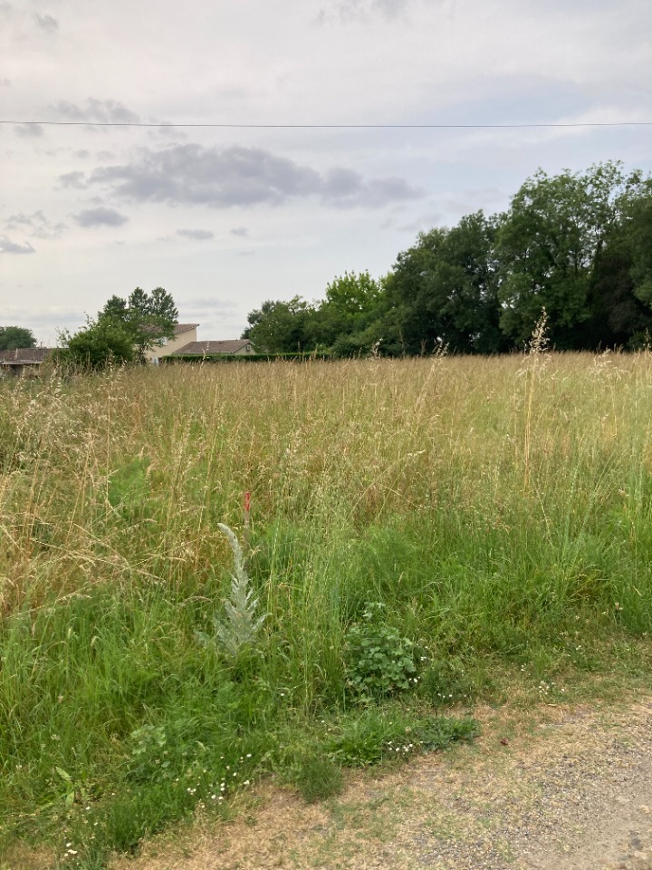 Image du terrain Terrain à bâtir à Bordeaux (33000)