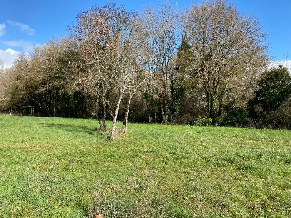 Image du terrain Terrain à bâtir à Saint-Vaize (17100)