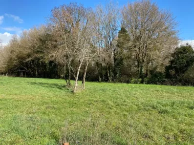 Image du modèle de maison 2202178-11194annonce120250623uTiq3.jpeg