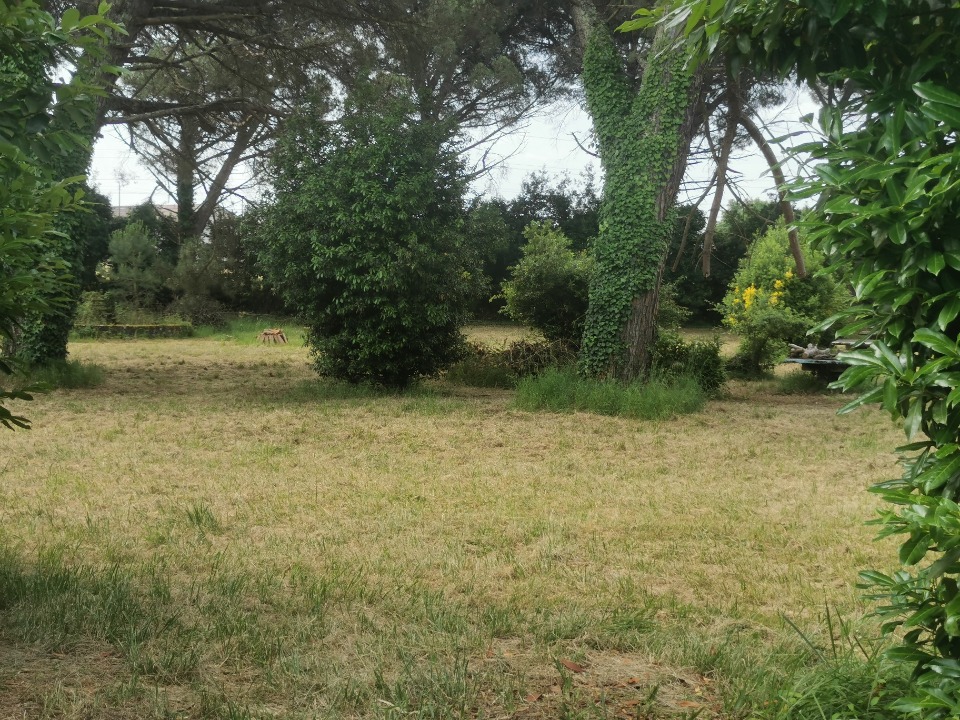 Image du modèle de maison 2202323-9573annonce120250624vNKBR.jpeg