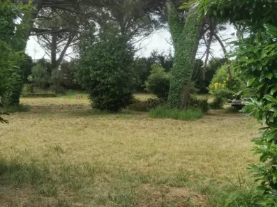 Image du modèle de maison 2202323-9573annonce120250624vNKBR.jpeg