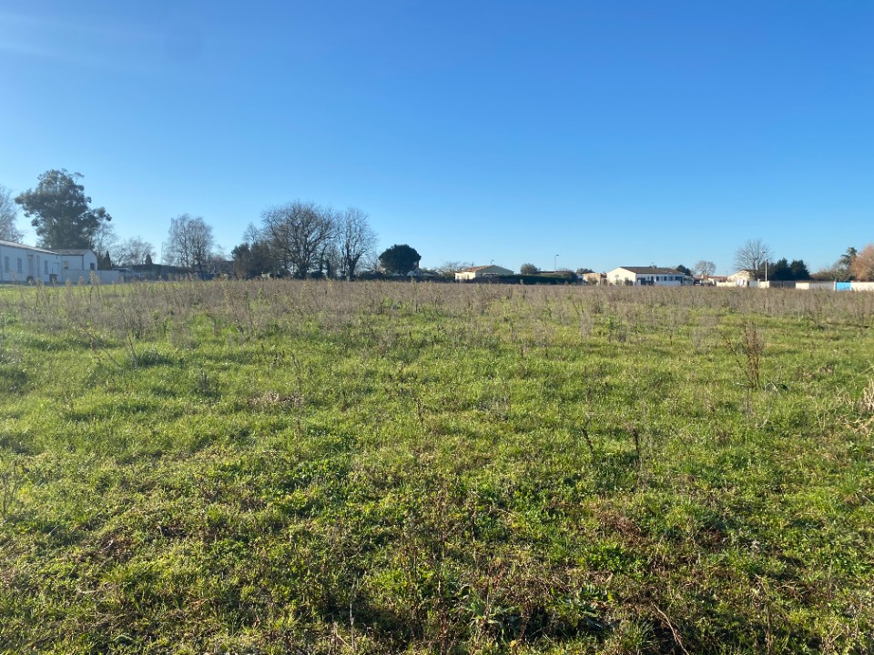 Image du terrain Terrain à bâtir à Grézac (17120)