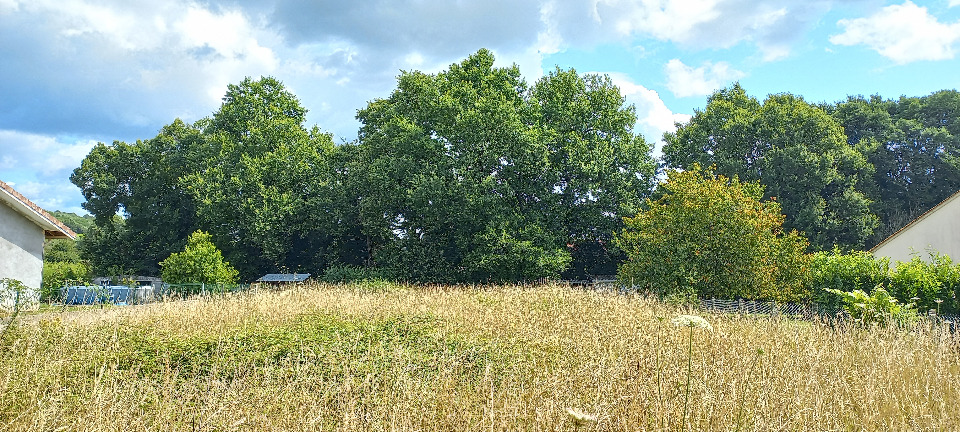 Image du terrain Terrain à bâtir à Saint-Louis-en-l'Isle (24400)