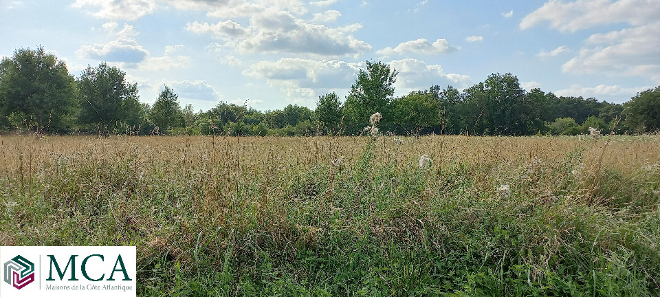Image du terrain Terrain à bâtir à Saint-Martin-de-Gurson (24610)