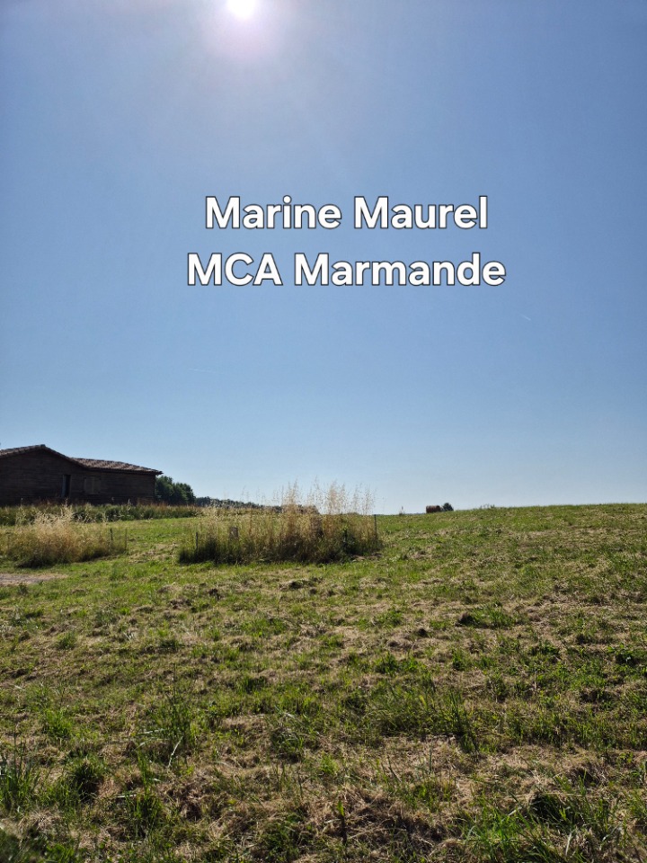 Image du modèle de maison 2204030-11161annonce120250625KtR9U.jpeg