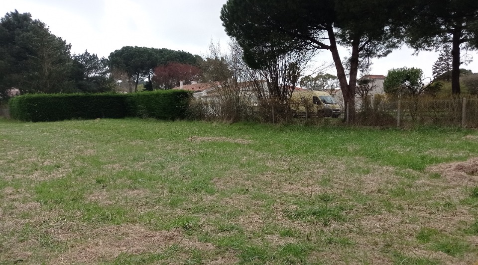 Image du modèle de maison 2205115-1055annonce120250625CyUiC.jpeg