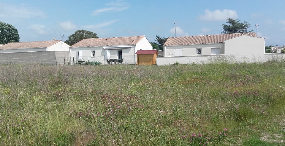 Image du modèle de maison 2206142-1055annonce120250626eBNLA.jpeg