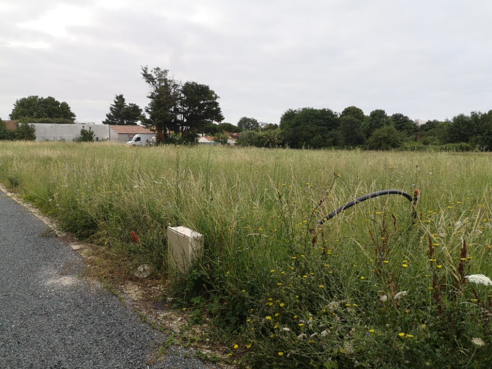 Image du modèle de maison 2206938-11221annonce4202506279Ll0a.jpeg