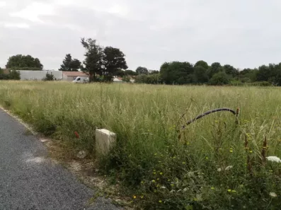 Image du modèle de maison 2206938-11221annonce4202506279Ll0a.jpeg