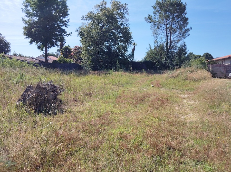 Image du modèle de maison 2207193-3780annonce120250627r3dDU.jpeg