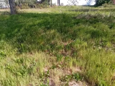 Image du modèle de maison 2210214-11244annonce1202507012Tklt.jpeg