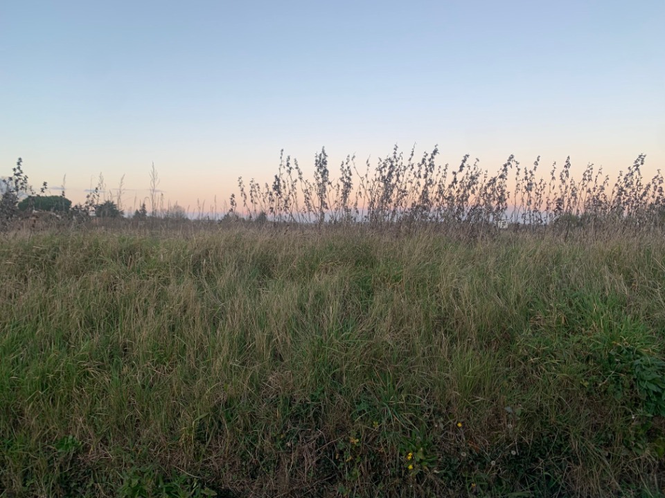 Image du terrain Terrain à bâtir à Virazeil (47200)