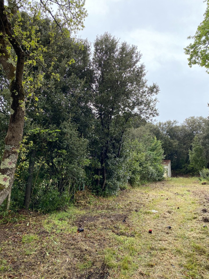 Image du terrain Terrain à bâtir à Saint-Georges-d'Oléron (17190)