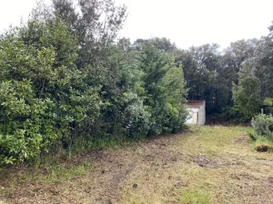 Image du modèle de maison 2213555-11194annonce220250704rQnIZ.jpeg