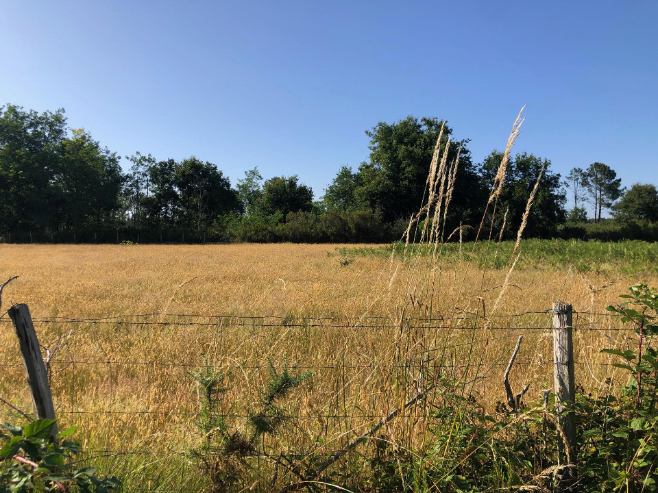 Image du modèle de maison 2216758-1090annonce4202507073JsyV.jpeg