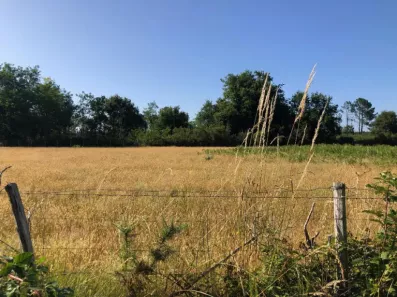 Image du modèle de maison 2216758-1090annonce4202507073JsyV.jpeg
