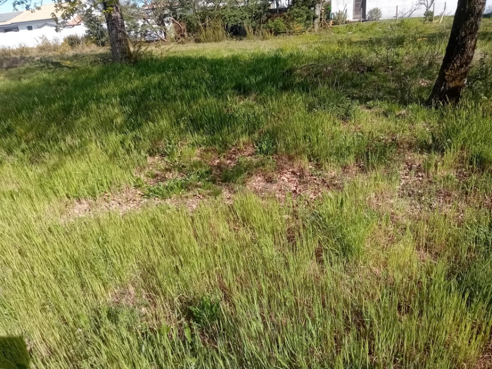 Image du modèle de maison 2217766-11244annonce320250708xwCLM.jpeg