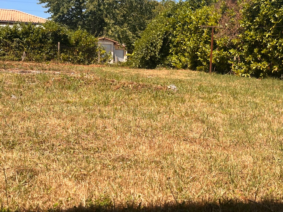 Image du modèle de maison 2218459-10776annonce120250708a3mzP.jpeg