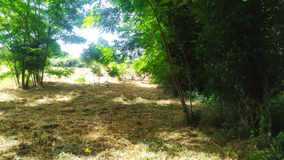 Image du modèle de maison 2222721-11141annonce120250712NGxwA.jpeg