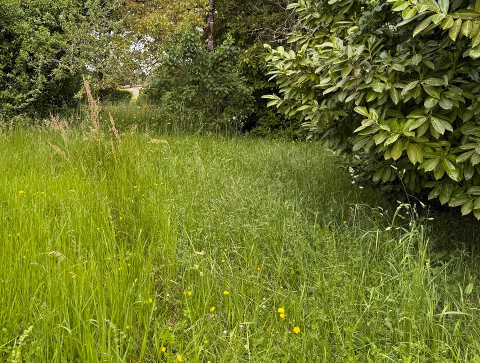 Image du modèle de maison 2223433-11337annonce120250714ad9Rz.jpeg
