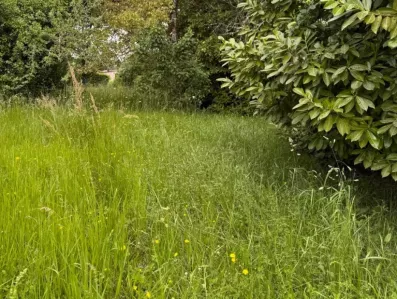 Image du modèle de maison 2223433-11337annonce120250714ad9Rz.jpeg