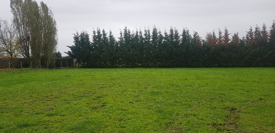 Image du terrain Terrain à bâtir à Castelnau-de-Médoc (33480)