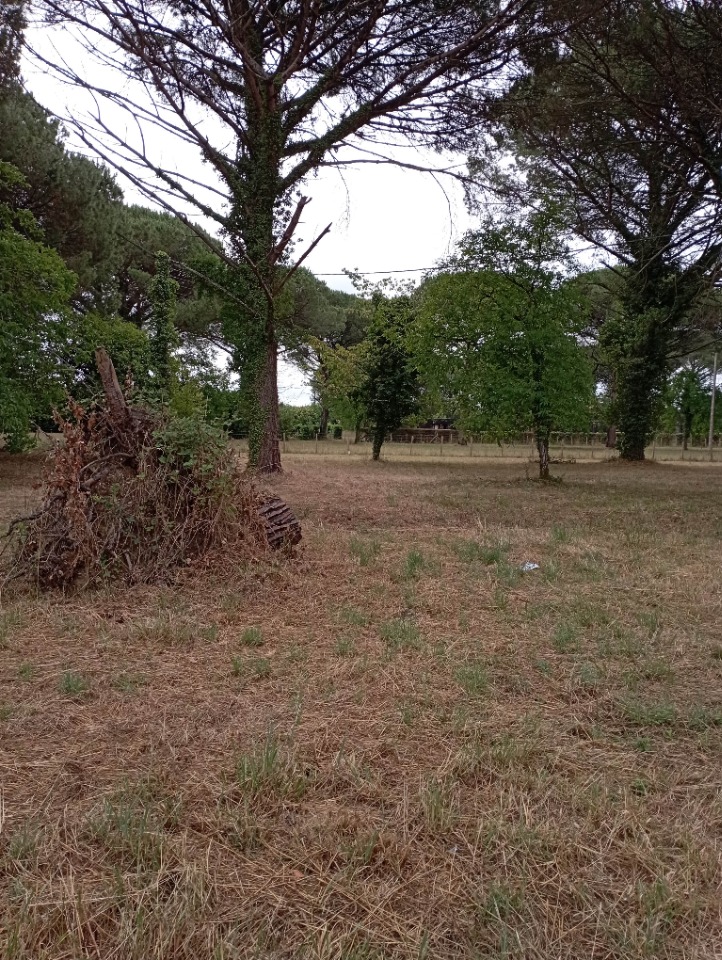 Image du modèle de maison 2228919-9573annonce120250719tBTii.jpeg