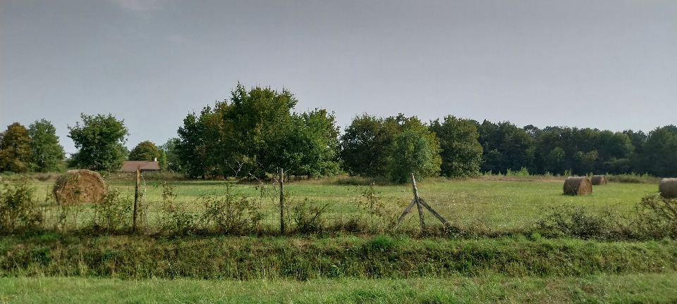 Image du terrain Terrain à bâtir à Bourg (33710)